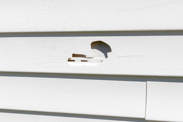 Best Residential Junk Removal  in Stevensville, MT