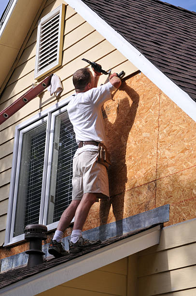 Best Demolition Debris Removal  in Stevensville, MT